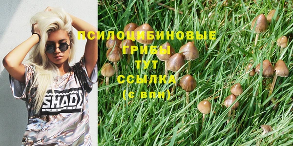 стаф Остров