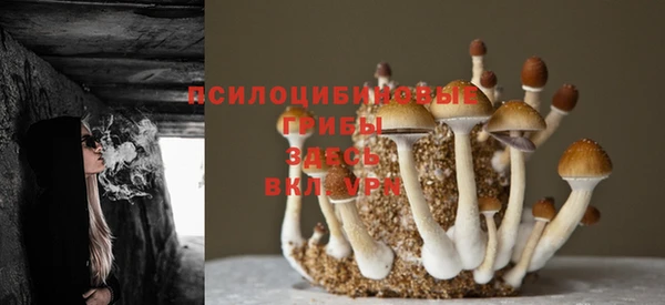 прущие крисы Осташков