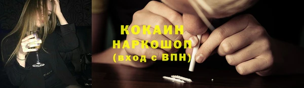 винт Пересвет