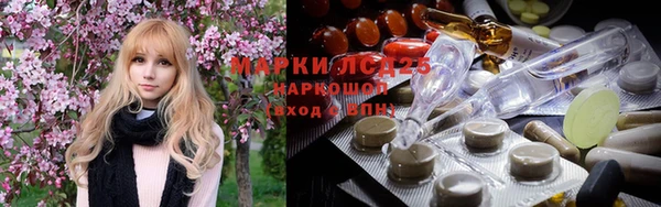 винт Пересвет