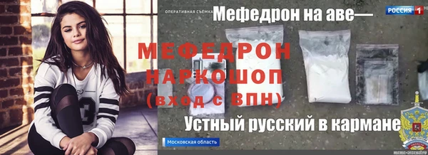 винт Пересвет