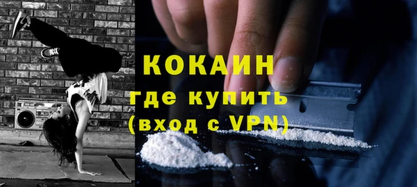 винт Пересвет