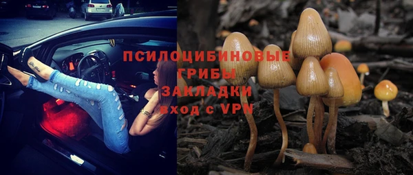 соль курить ск Переславль-Залесский