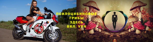 винт Пересвет