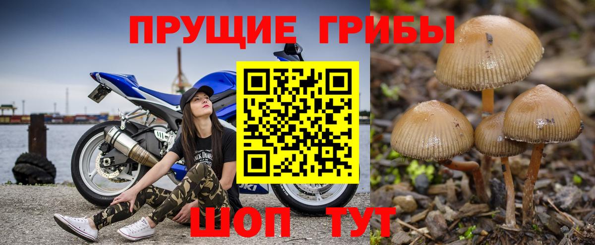 Зеленодольск  Псилоцибиновые грибы мухоморы  Вход с VPN  Псилоцибиновые грибы прущие грибы 